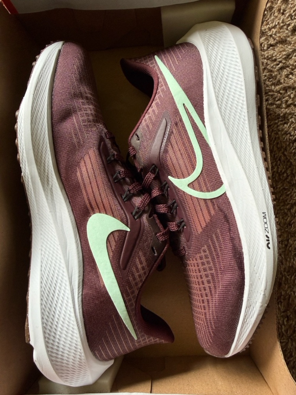 Nike Air Zoom Pegasus 39 Women’s 8.5